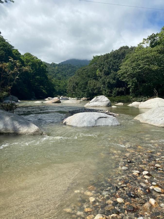 Wayanay Tayrona Eco Hostel Ел Заино Екстериор снимка