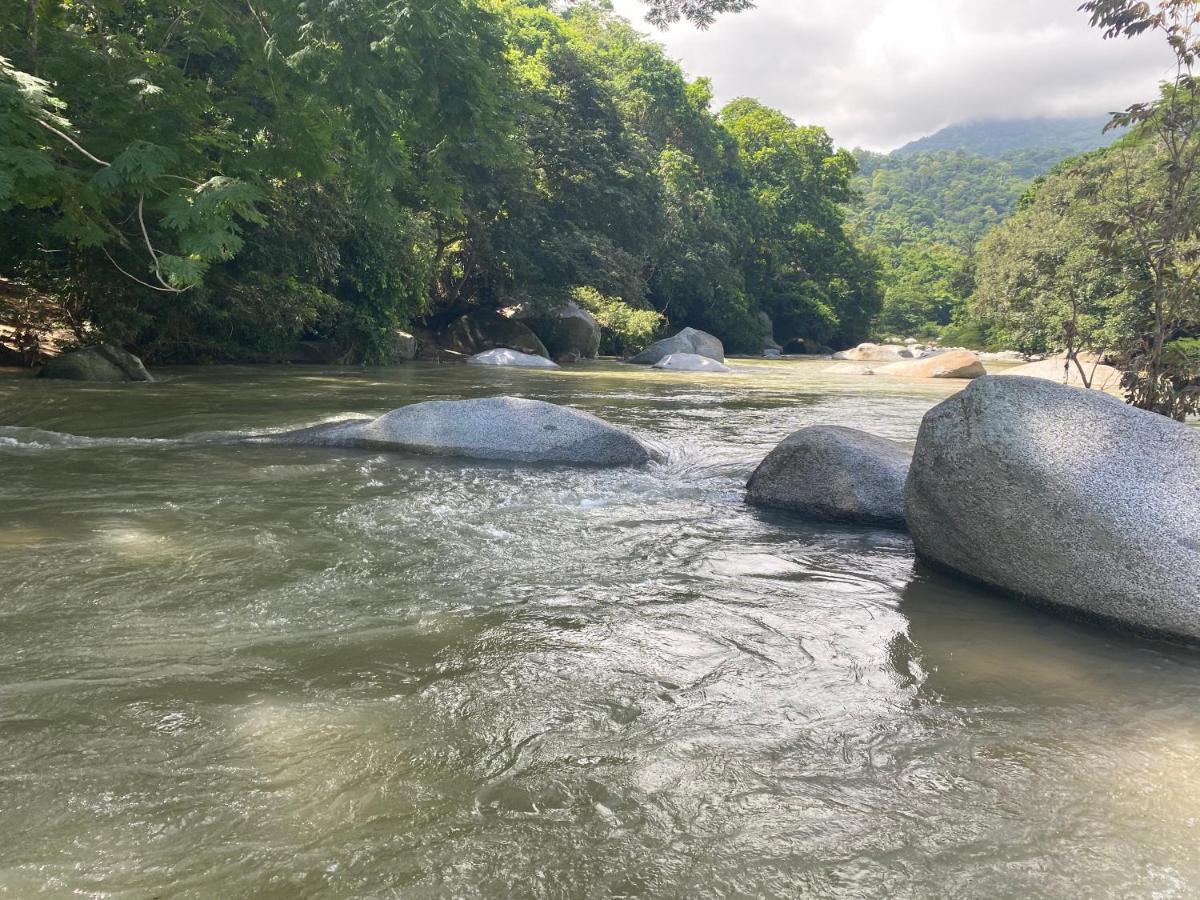 Wayanay Tayrona Eco Hostel Ел Заино Екстериор снимка