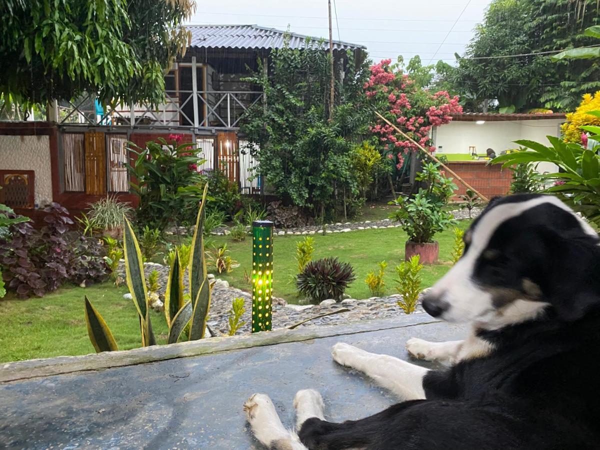 Wayanay Tayrona Eco Hostel Ел Заино Екстериор снимка