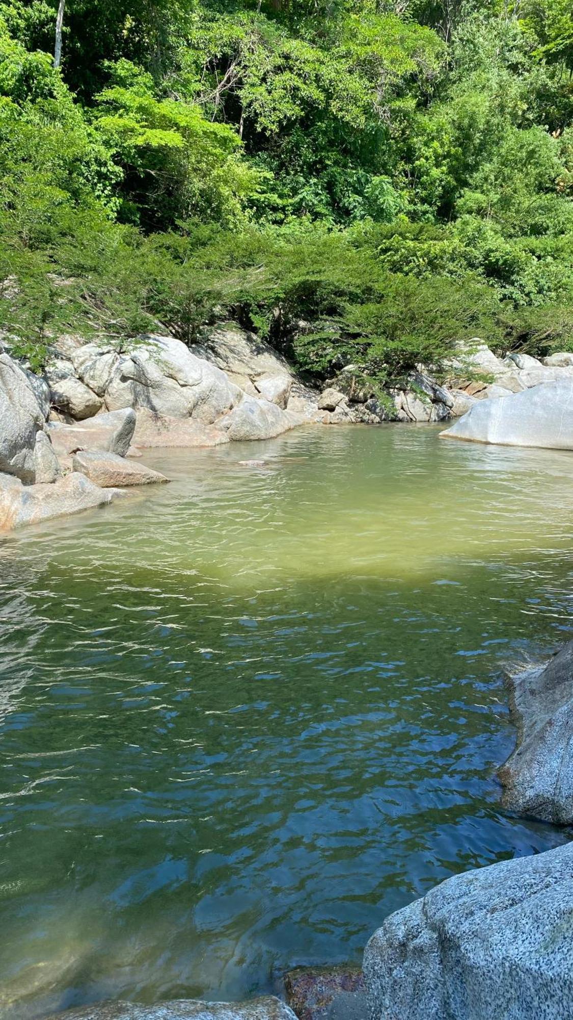 Wayanay Tayrona Eco Hostel Ел Заино Екстериор снимка