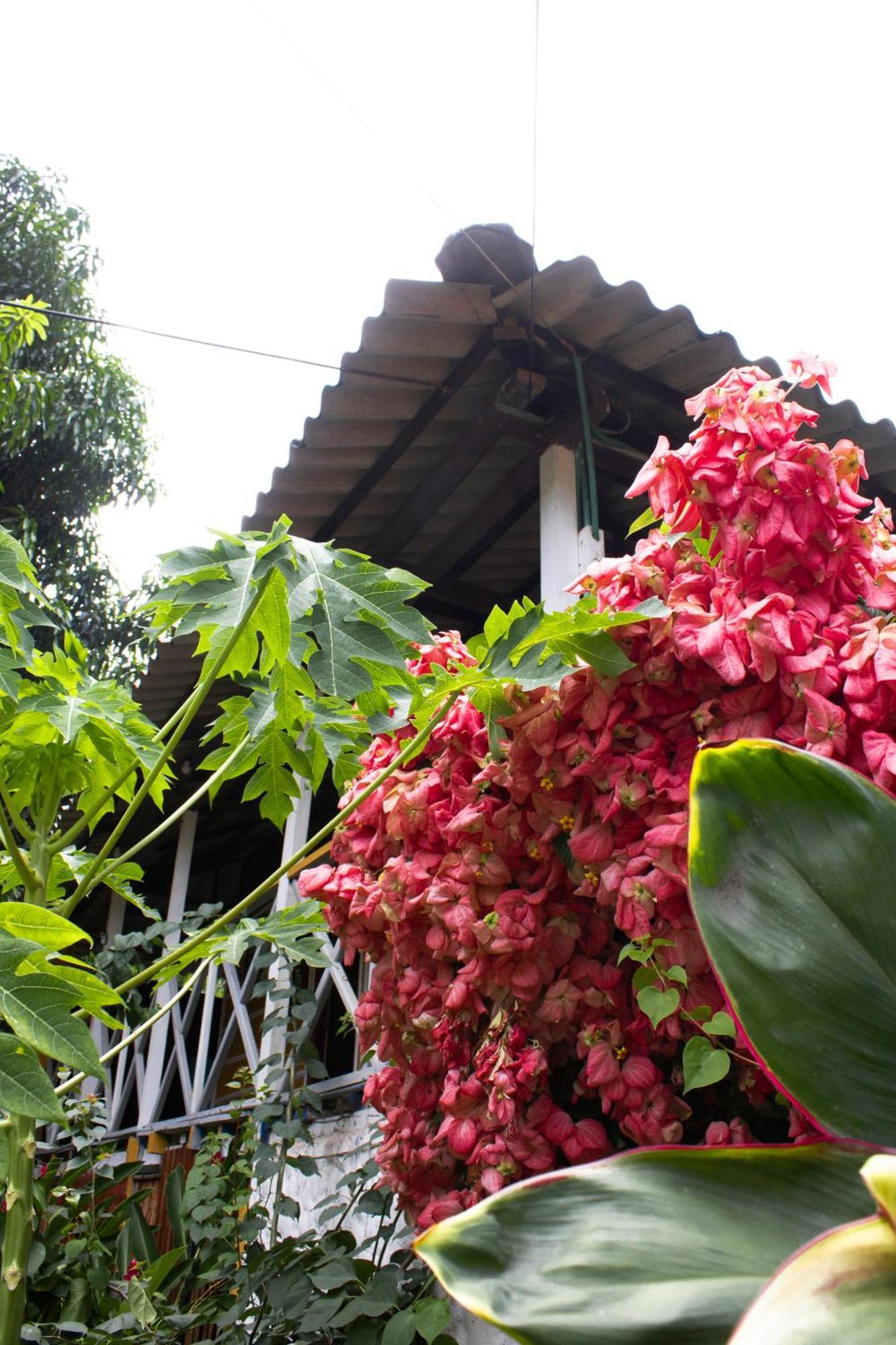 Wayanay Tayrona Eco Hostel Ел Заино Екстериор снимка