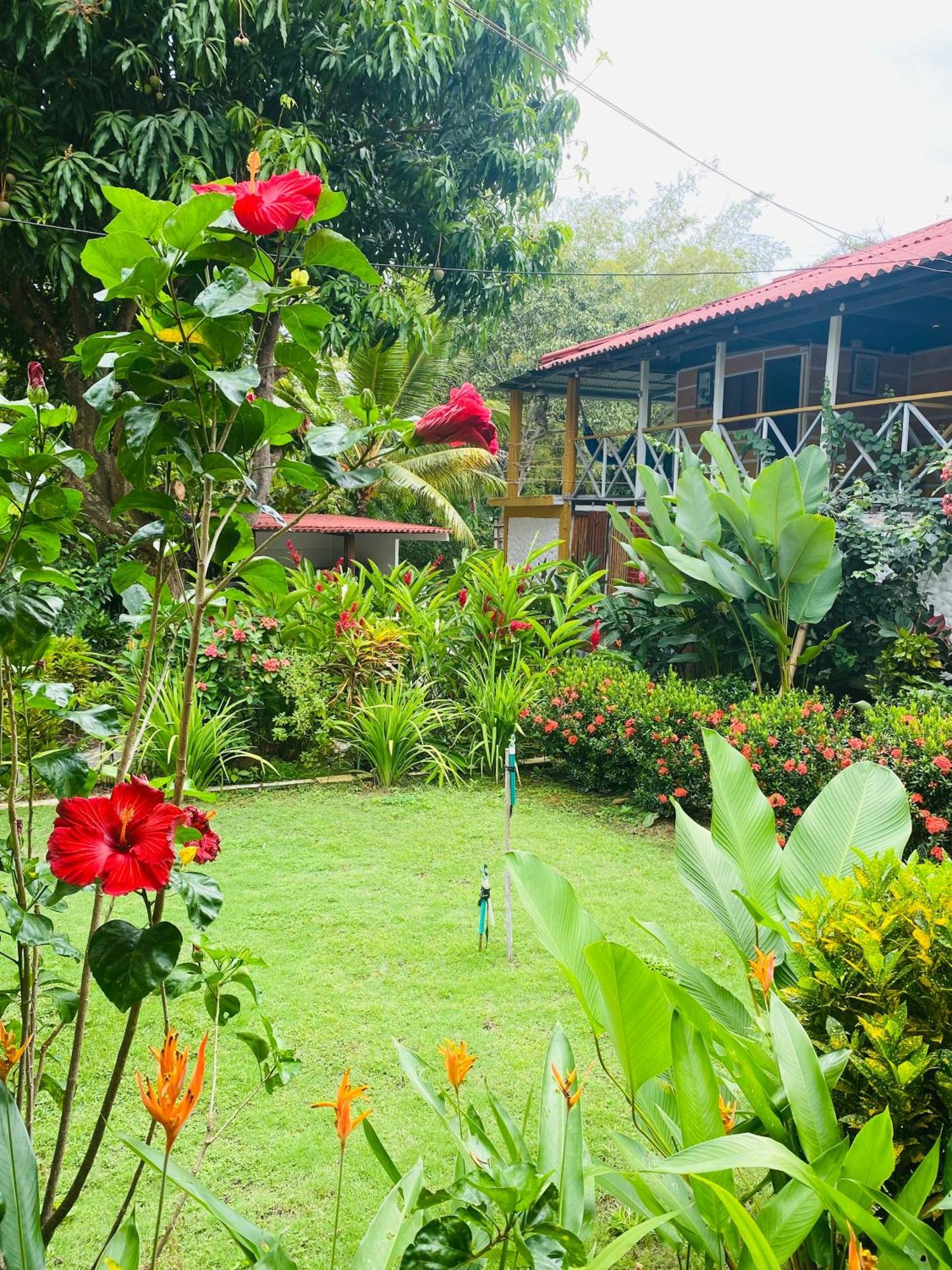 Wayanay Tayrona Eco Hostel Ел Заино Екстериор снимка