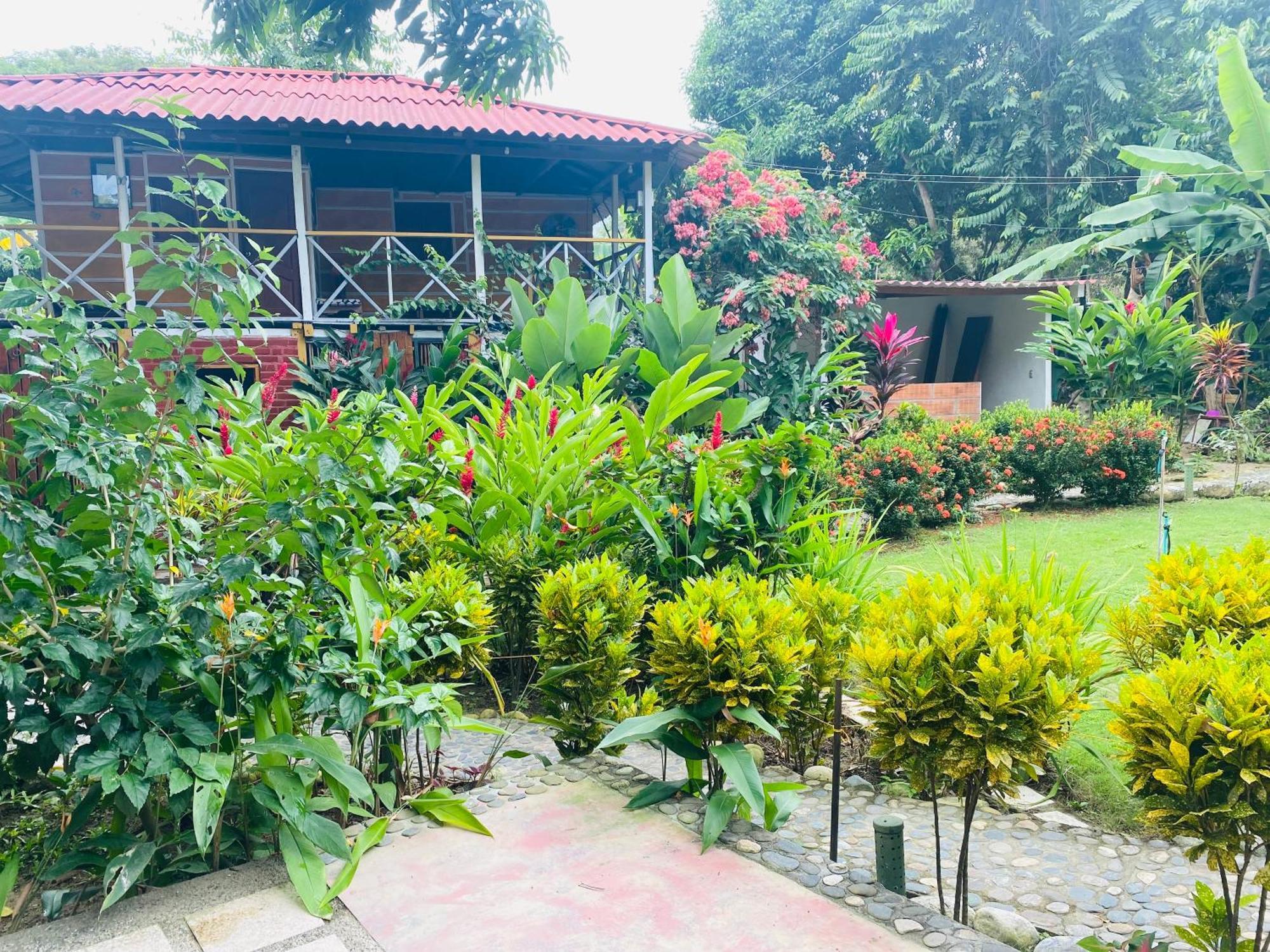 Wayanay Tayrona Eco Hostel Ел Заино Екстериор снимка