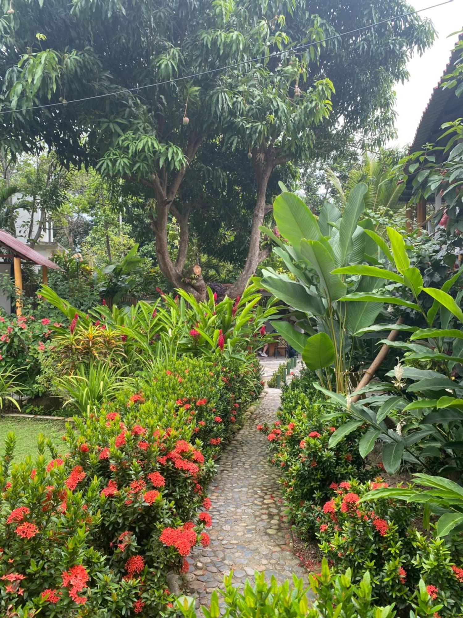 Wayanay Tayrona Eco Hostel Ел Заино Екстериор снимка