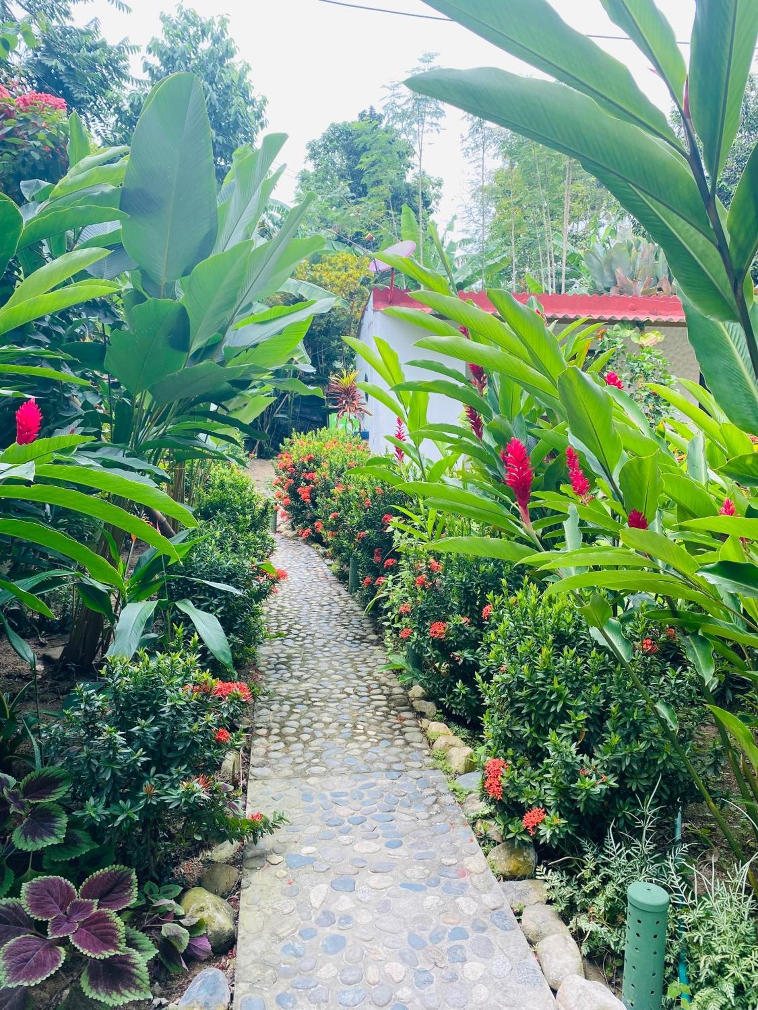 Wayanay Tayrona Eco Hostel Ел Заино Екстериор снимка
