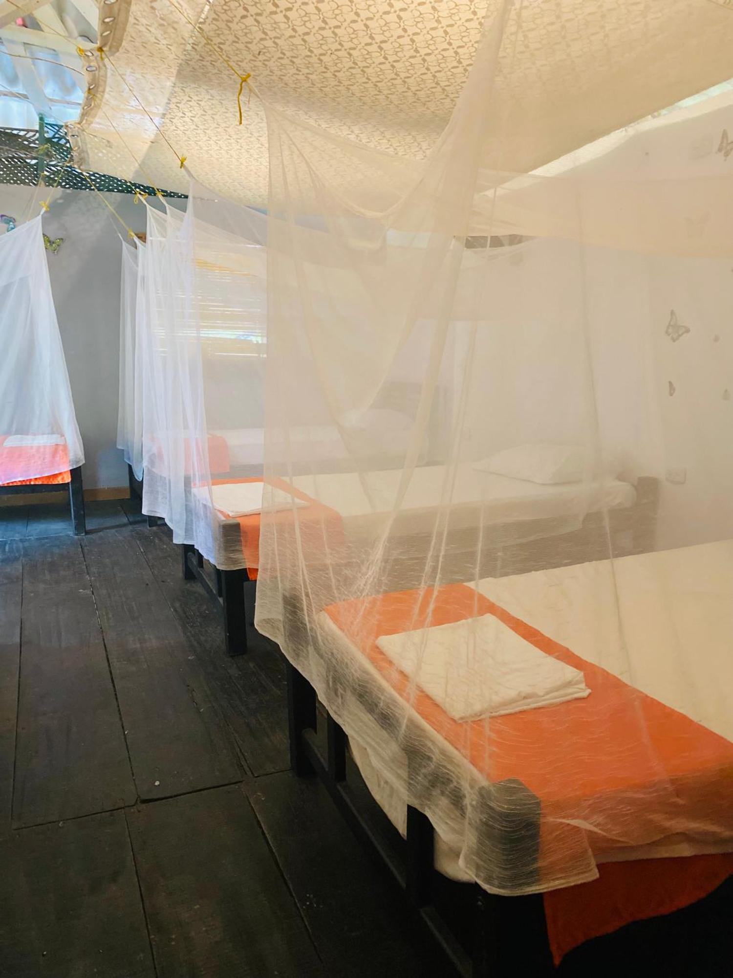Wayanay Tayrona Eco Hostel Ел Заино Екстериор снимка